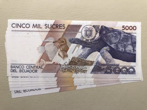 Ecuador 5000 sucres 1996 serie DD reposición UNC- P126ar - Imagen 2