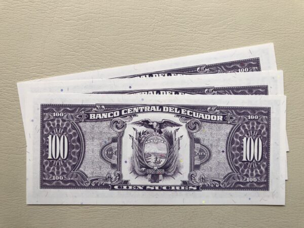 Ecuador 100 sucres 1991 UNC P123Aa Simon Bolívar - Imagen 2